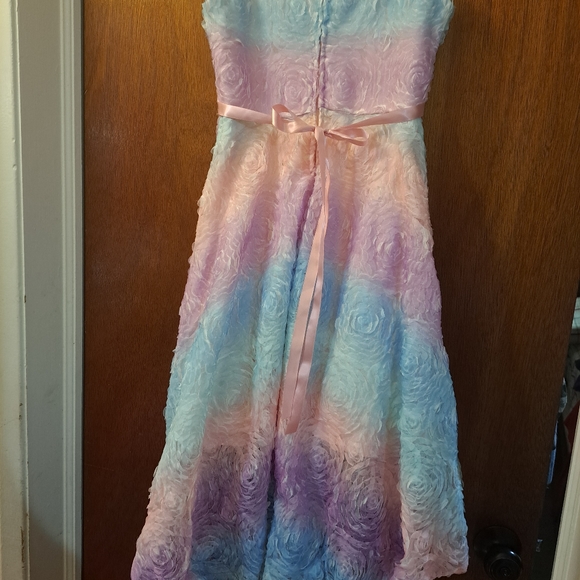 Rare edition Size 12 girl dresses with high low skirt. - Picture 11 of 17